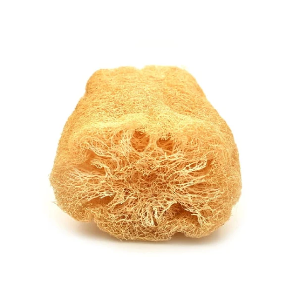 Kabak Lifi Ham Parça, 15-18 cm, 2 Adet Derya Eren - 3