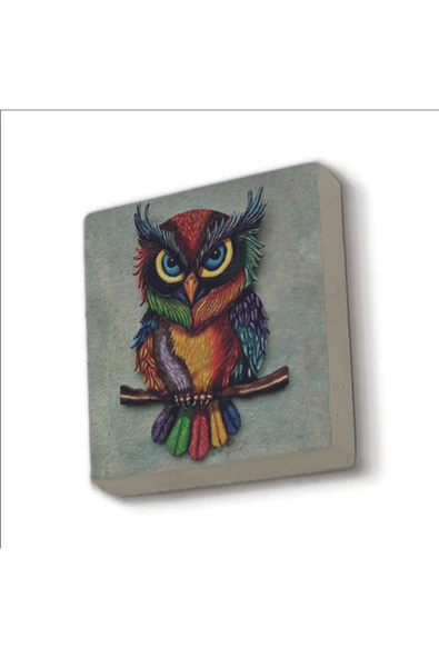 Baykuş Baskılı Taş Magnet 5X5