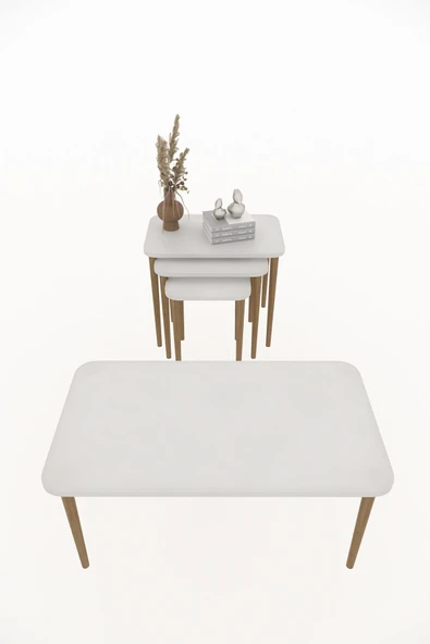 Zigon ve Orta Sehpa Seti | Salon Seti | Sehpa Seti | Oturma Odası Seti Dikdörtgen - 4