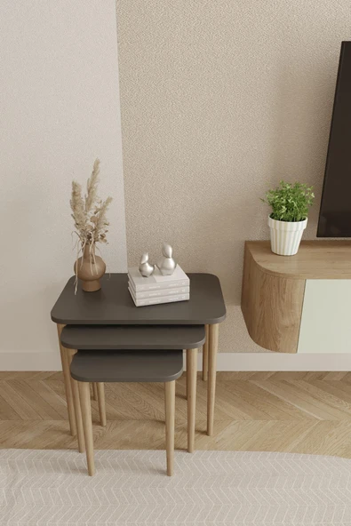 Dikdörtgen Zigon Sehpa 3'lü Set – Ahşap Ayaklı Modern Tasarım - 9
