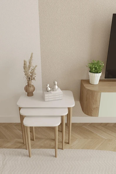 Dikdörtgen Zigon Sehpa 3'lü Set – Ahşap Ayaklı Modern Tasarım - 3