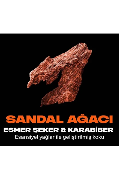 Axe Premium Collection Duş Jeli Copper Santal 3 In 1 Vücut Saç Yüz 300 ml X2 - 5
