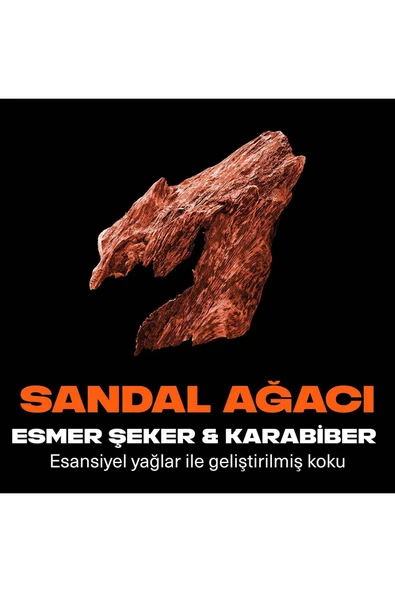 Axe Premium Collection Duş Jeli Copper Santal 3 In 1 Vücut Saç Yüz 300 ml - 5