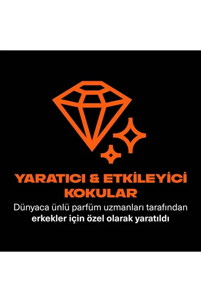 Axe Premium Collection Duş Jeli Copper Santal 3 In 1 Vücut Saç Yüz 300 ml X2 - 4
