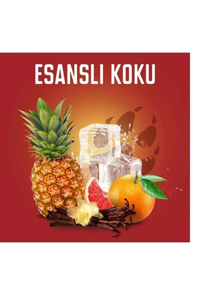 Old Spice Wolfthorn Erkekler Için Stick Deodorant 50 ml X 2 Adet - 4