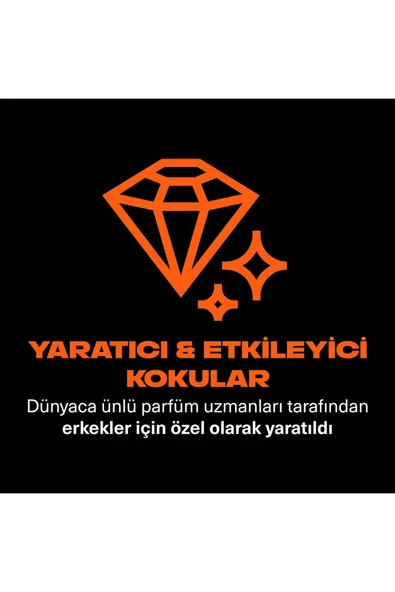 Axe Premium Collection Duş Jeli Copper Santal 3 In 1 Vücut Saç Yüz 300 ml - 4