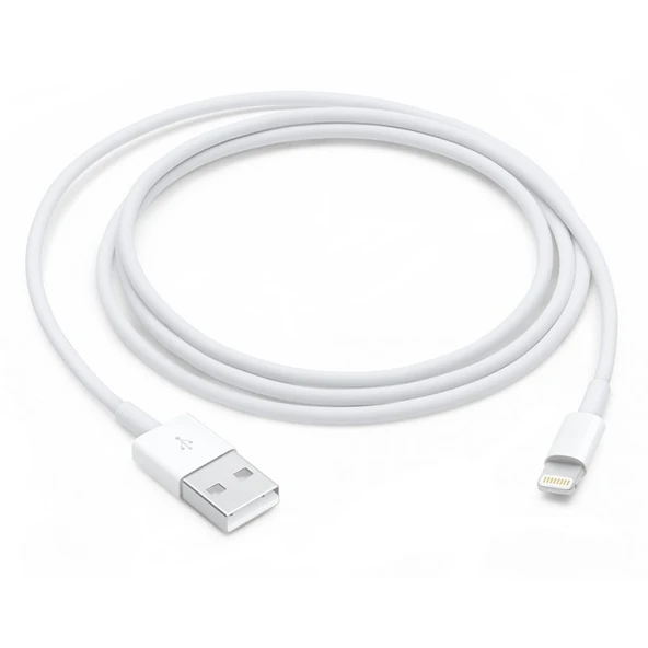 Apple Lightning - USB Kablosu (1 m) - MXLY2ZM/A (Apple Türkiye Garantili) - 2