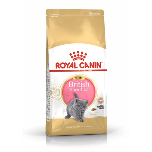 Royal Canin British Shorthair Yavru Kedi Maması 2 KG