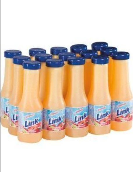 LİNK ŞEFTALİ 200 ML 15 Lİ KOLİ