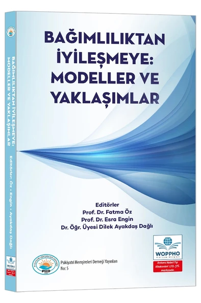 Bağımlılıktan İyileşmeye: Modeller ve Yaklaşımlar ürün görseli 1