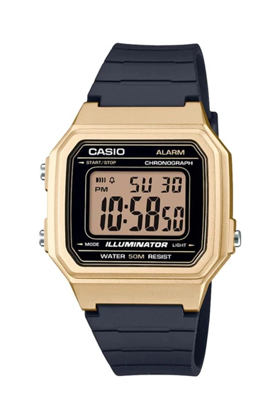 Casio Erkek Kol Saati W-217HM-9AVDF