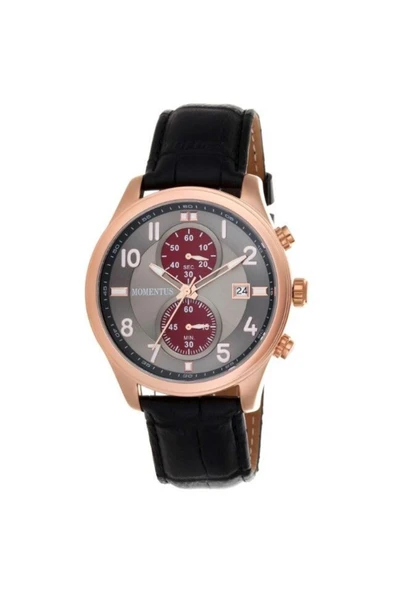 Momentus Erkek Kol Saati FD253R-05BD