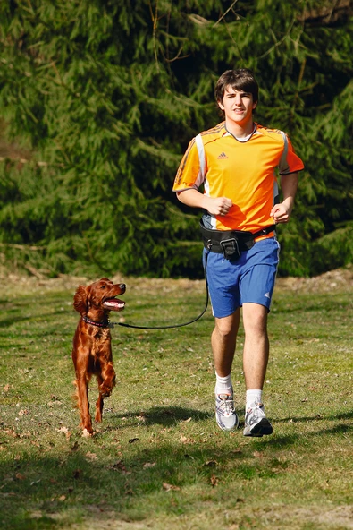 Karlıe Eller Serbest Köpek Gezdirme Tasması Siyah - Resim 2