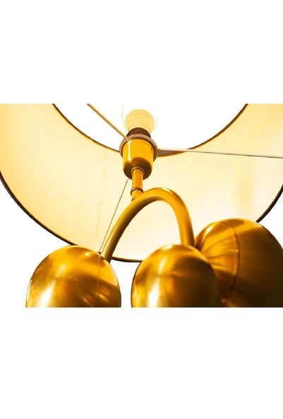 cevat lambader gold - 3