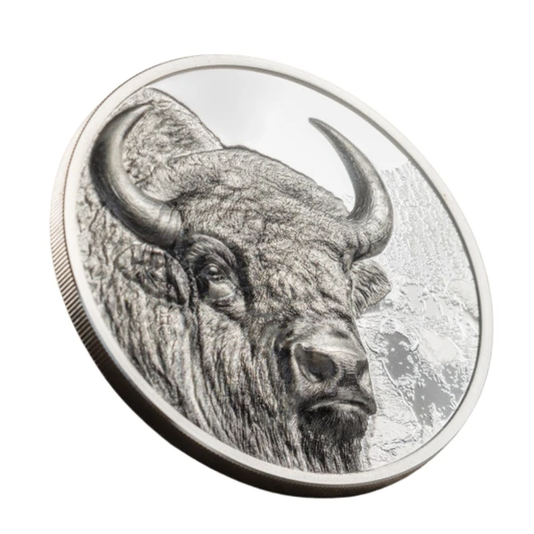 AgaKulche Moğolistan Bizonu Gümüş Sikke Coin - 3