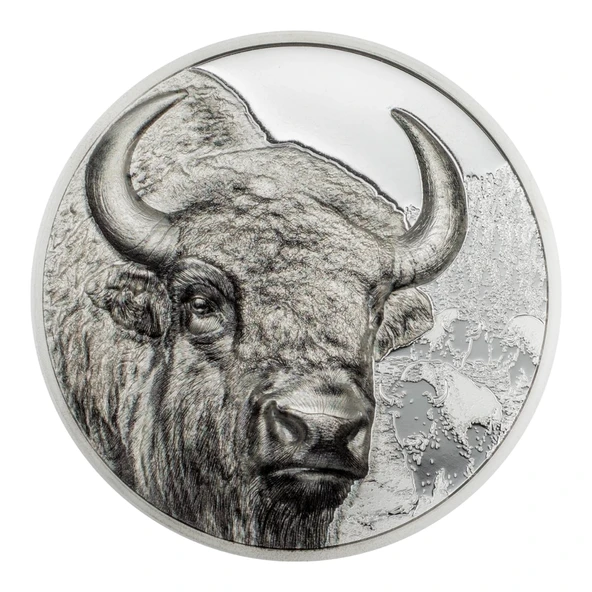 AgaKulche Moğolistan Bizonu Gümüş Sikke Coin