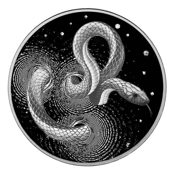 AgaKulche Yılan Gümüş Sikke Coin