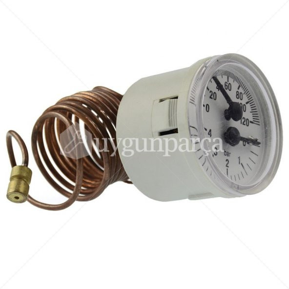 Vaillant Turbomax Plus - Turbomax Pro Kombi TermoManometre Basınç Göstergesi - 2