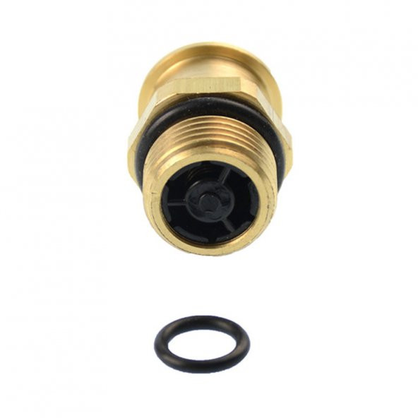 ECA Proteus / Calora Kombi By-pass - Resim 2