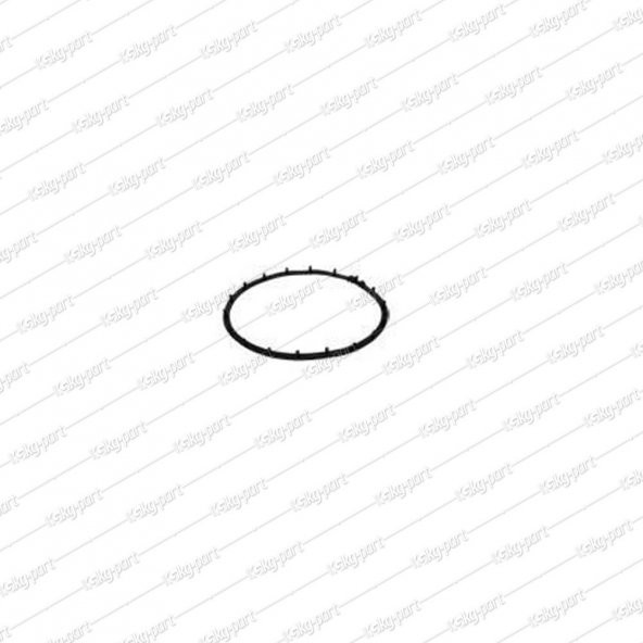 Tefal Filra One Orijinal Fritöz Contası ürün görseli 1