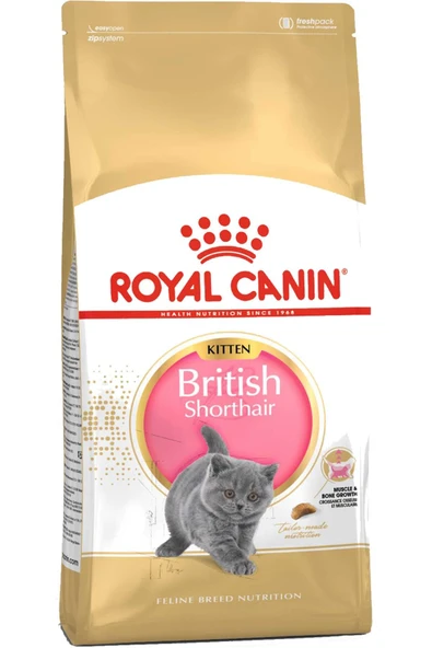 Royal Canin Kitten British Shorthair Yavru Kedi Maması 2kg