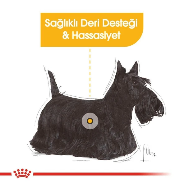 Royal Canin Dermacomfort Mini Irk Yetişkin Köpek Maması 3kg - 3