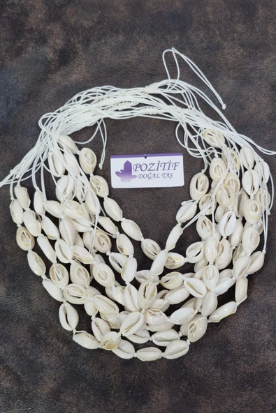 Gerçek Deniz Kabuklarından Ayarlı Kolye 211-2 - 4