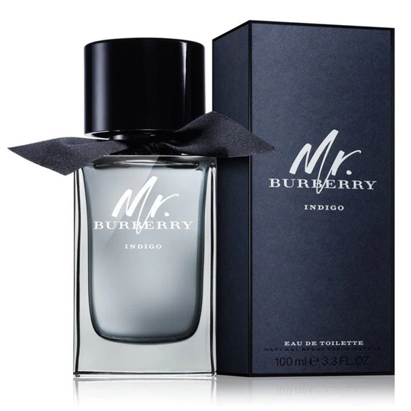 Burberry Mr. Burberry Indigo EDT 100 ml Erkek Parfüm - 5