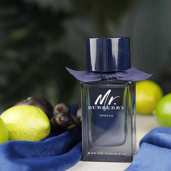 Burberry Mr. Burberry Indigo EDT 100 ml Erkek Parfüm - 3