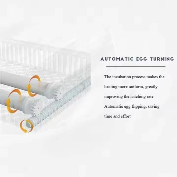 48 Yumurtalık Tam Otomatik Hobi Kabin Tip Kuluçka Makinesi | Tavuk ve Kanatlı Yumurtaları - 5