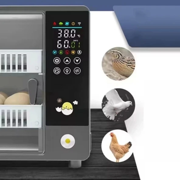 48 Yumurtalık Tam Otomatik Hobi Kabin Tip Kuluçka Makinesi | Tavuk ve Kanatlı Yumurtaları - 8