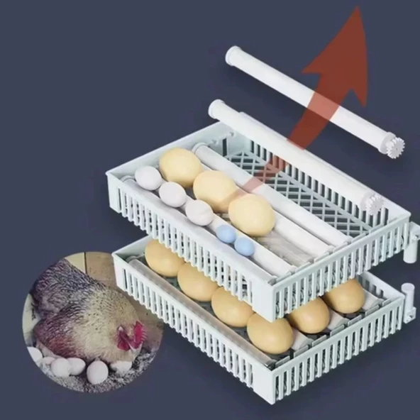 48 Yumurtalık Tam Otomatik Hobi Kabin Tip Kuluçka Makinesi | Tavuk ve Kanatlı Yumurtaları - 4