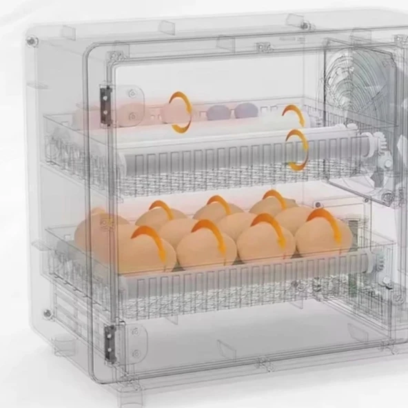 48 Yumurtalık Tam Otomatik Hobi Kabin Tip Kuluçka Makinesi | Tavuk ve Kanatlı Yumurtaları - 9