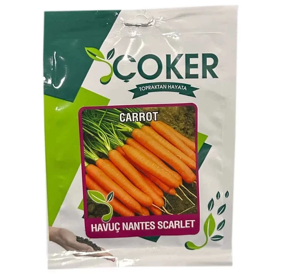 Havuç Nantes Tohumu 10gr Paket