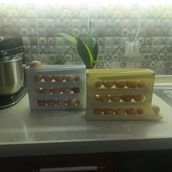 25 li Plastik buzdolabı yumurta düzenleme saklama rafı - Resim 4