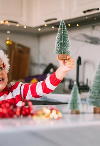 9 Adet Nevada Mini Çam Ağacı Uçlarına Kar Yağmış Karlı Yılbaşı Hediyesi  15-12-8  cm - 7