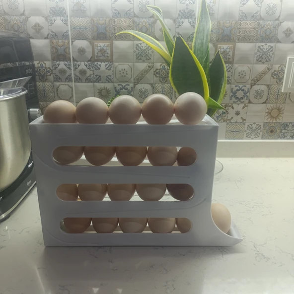 25 li Plastik buzdolabı yumurta düzenleme saklama rafı - Resim 3