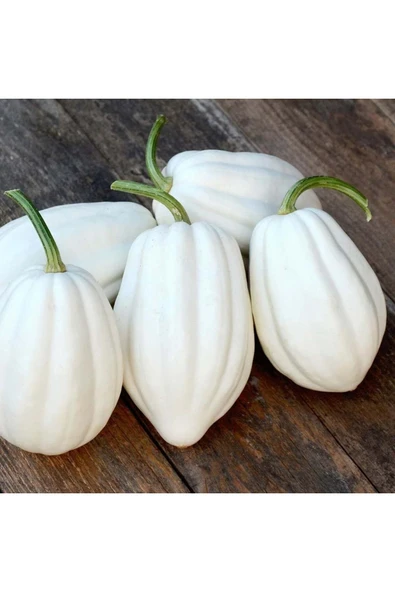 ZENGARDEN EV VE BAHÇE Patates püresi kışlık kabak tohumu mashed patato