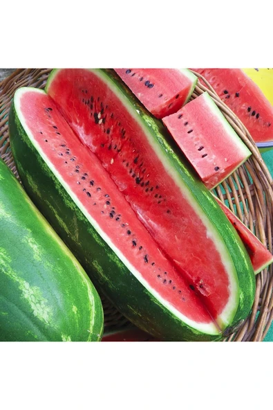 ZENGARDEN EV VE BAHÇE Jübile karpuz tohumu geleneksel jubilee watermelon seeds