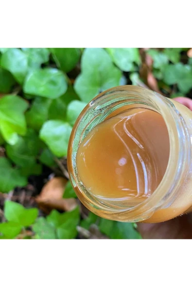 GÜLEN MARKET Sığla Yağı 40 Mm Sığla Yağı Saf Sığla Yağı