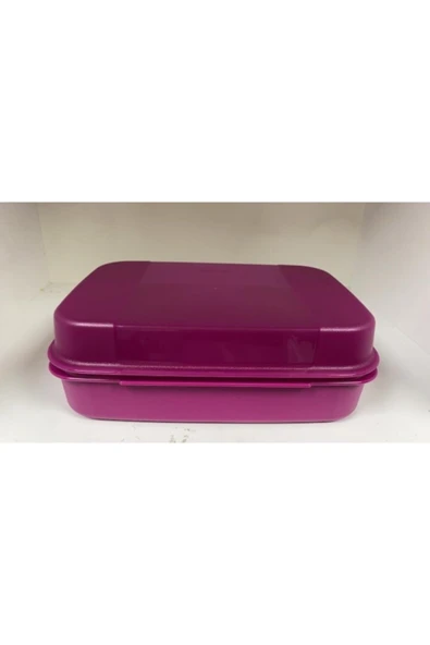 Tupperware Büyük Saklama Kutusu - F20