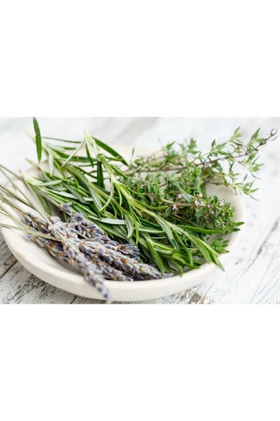 entaze yaşam Taze Biberiye(rosemarıne)-25 Gr - 2