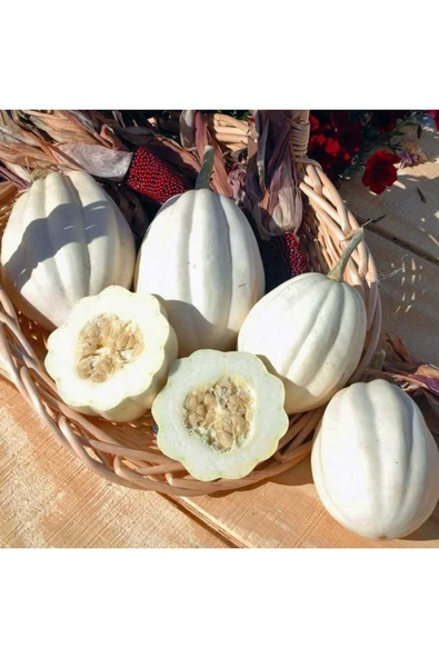 ZENGARDEN EV VE BAHÇE Patates püresi kışlık kabak tohumu mashed patato - 2