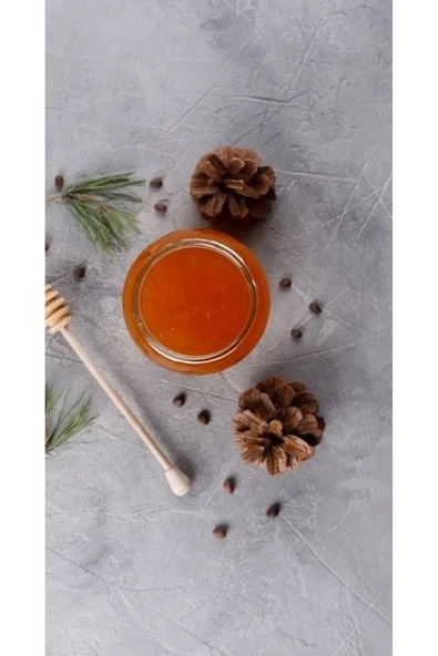 Köyceğiz Şarküterim Köyceğiz Çam Balı 500 gr.