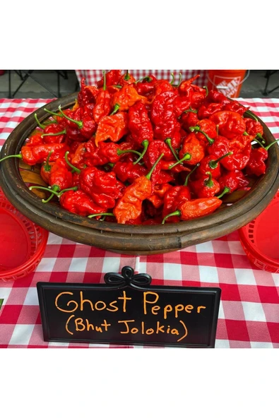 ZENGARDEN EV VE BAHÇE Dünyanın en acı biberi bhut jolokia biber tohumu