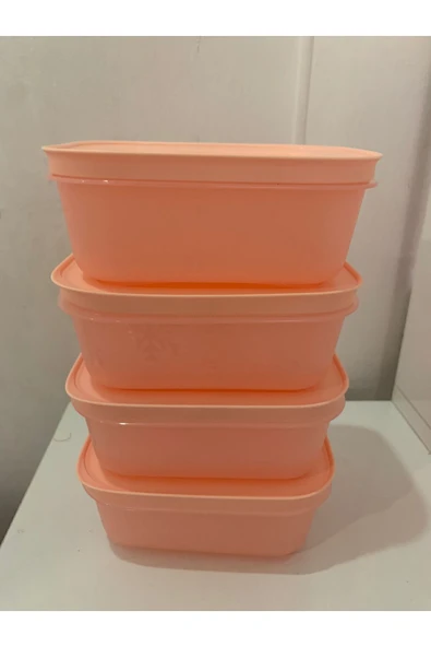 Tupperware Alaska 450 ml 4 lü Derin Dondurucu ve Buzdolabı Saklama Kabı - 3