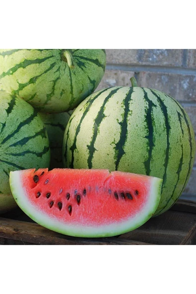ZENGARDEN EV VE BAHÇE Erkenci karpuz tohumu geleneksel watermelon dixie queen
