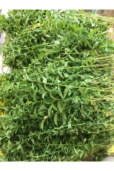 Endoğalından Nane Kurusu 100 gr - 2