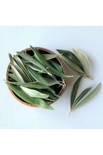 Aydos Taze Dalından Organik Zeytin Yaprağı 100 gram