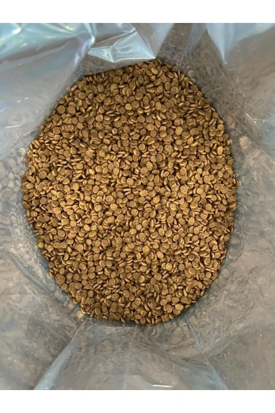 SCAFİYY Tavuklu Yetişkin Kedi Maması 12 Kg - 2